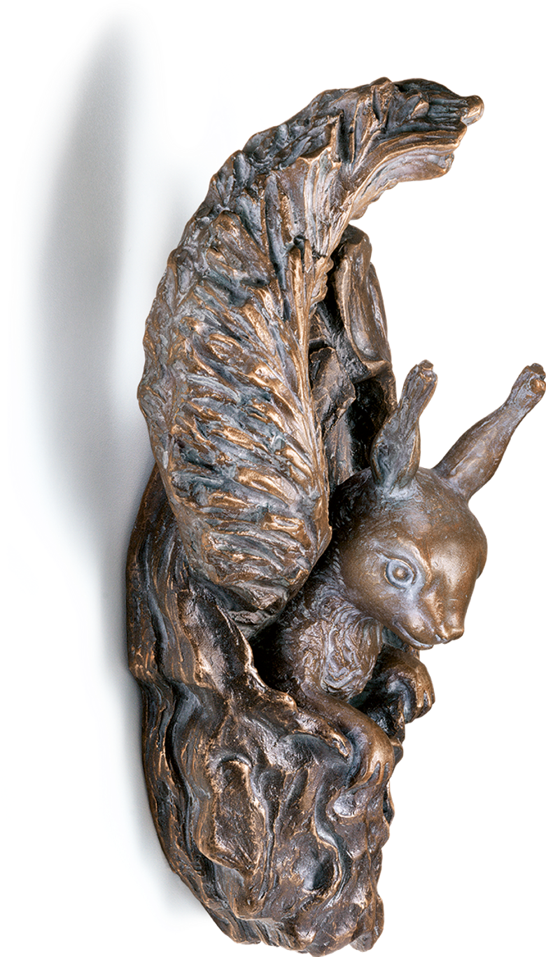 Eichhörnchen - aus Astloch schauend