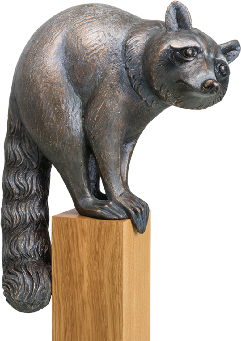 Bronzefigur Waschbär,  schauend von Atelier Strassacker