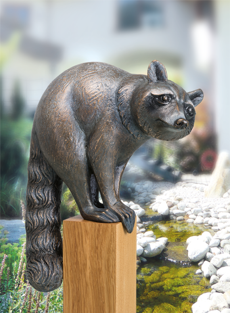 Bronzefigur Waschbär,  schauend von Atelier Strassacker