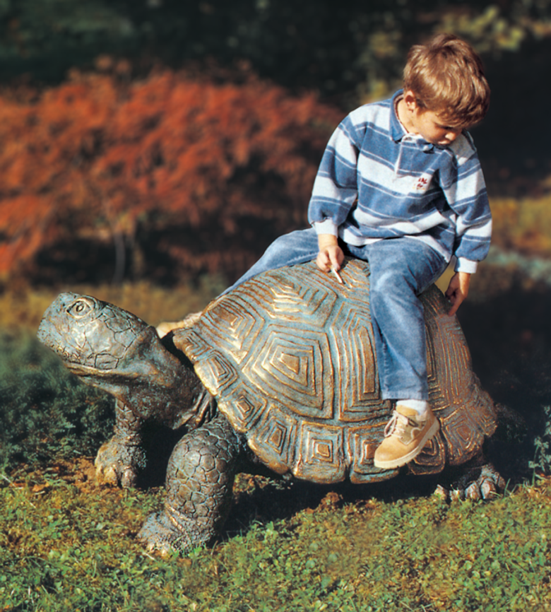 Bronzefigur Schildkröte von Michael Brettschneider