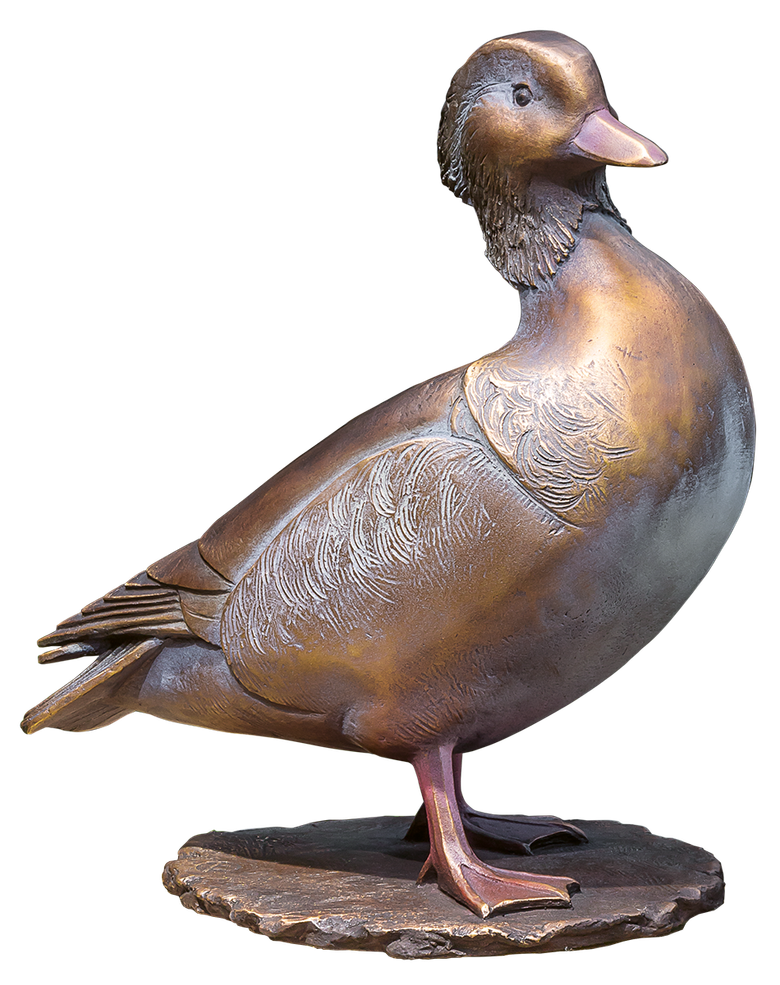 Bronzemandarin - Ente