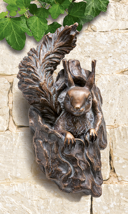 Eichhörnchen - aus Astloch schauend