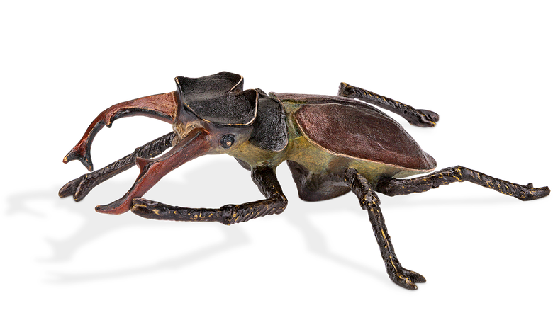 Hirschkäfer, liegend