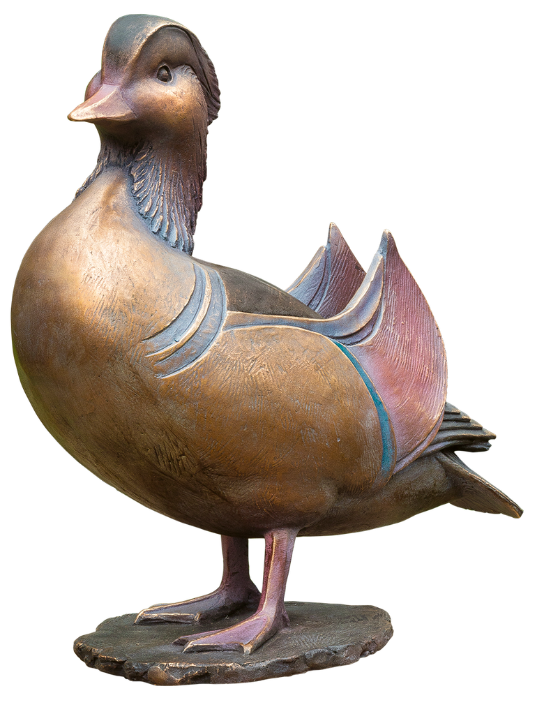 Bronzemandarin - Erpel