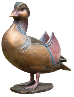 Bronzemandarin - Erpel