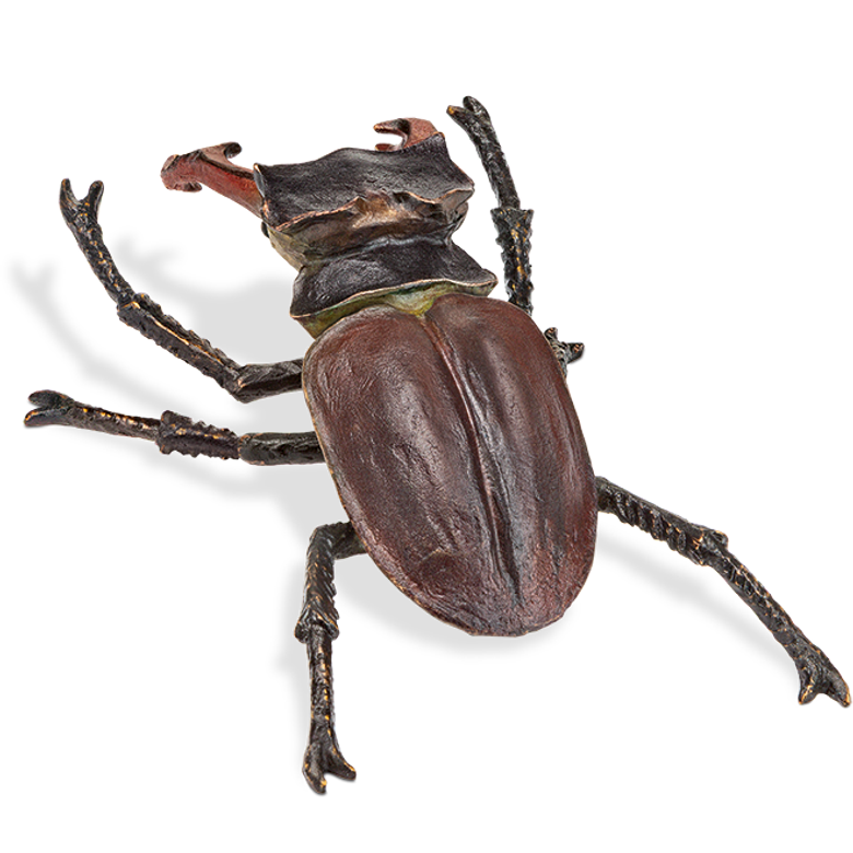 Hirschkäfer, aufrichtend