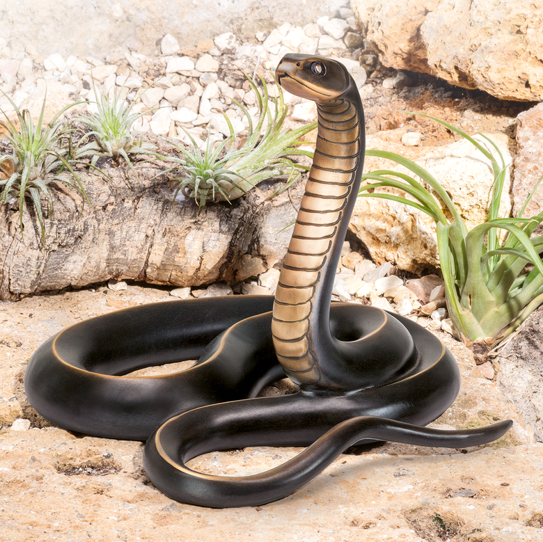 Bronzeschlange - Ringelnatter