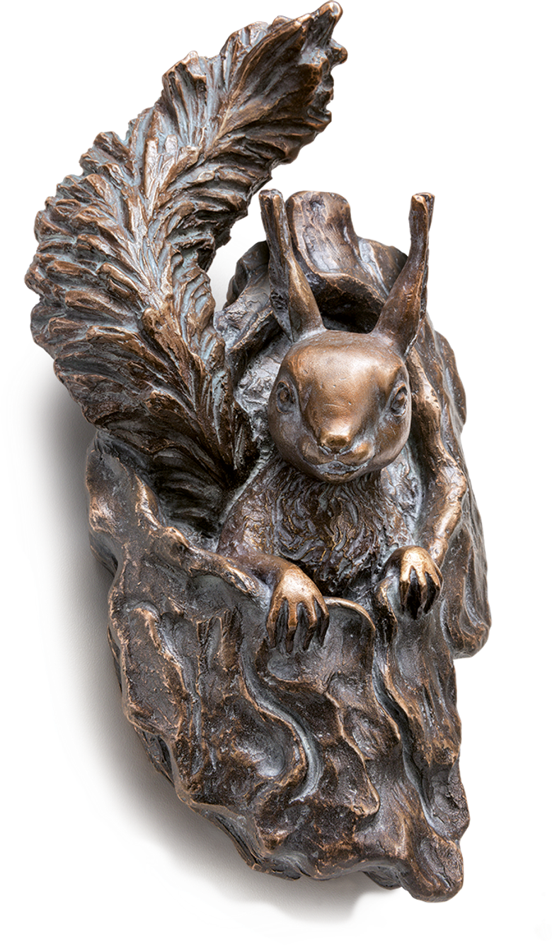 Eichhörnchen - aus Astloch schauend