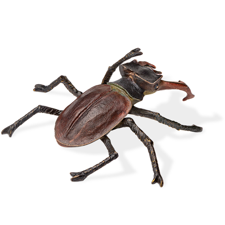 Hirschkäfer, liegend