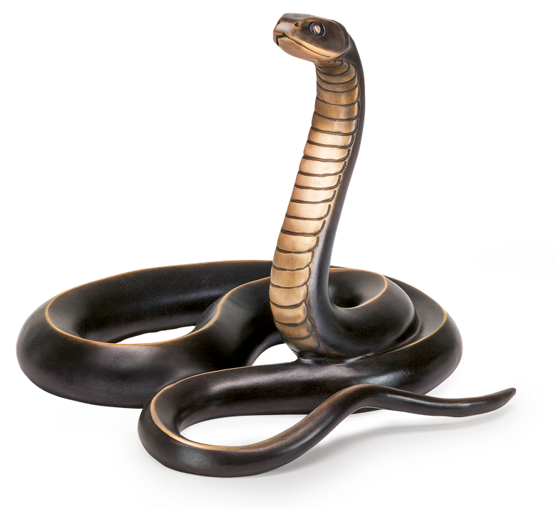 Bronzeschlange - Ringelnatter