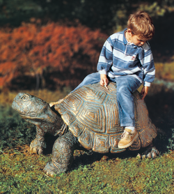 Bronzefigur Schildkröte von Michael Brettschneider