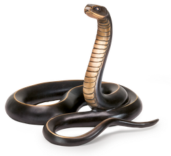 Bronzeschlange - Ringelnatter